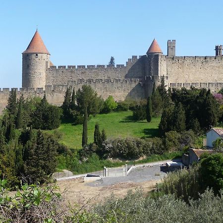 Le Patio Cathare Apartman Carcassone Kültér fotó