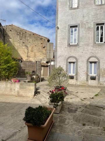 Le Patio Cathare Apartman Carcassone Kültér fotó