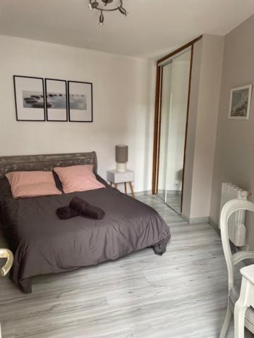 Le Patio Cathare Apartman Carcassone Kültér fotó