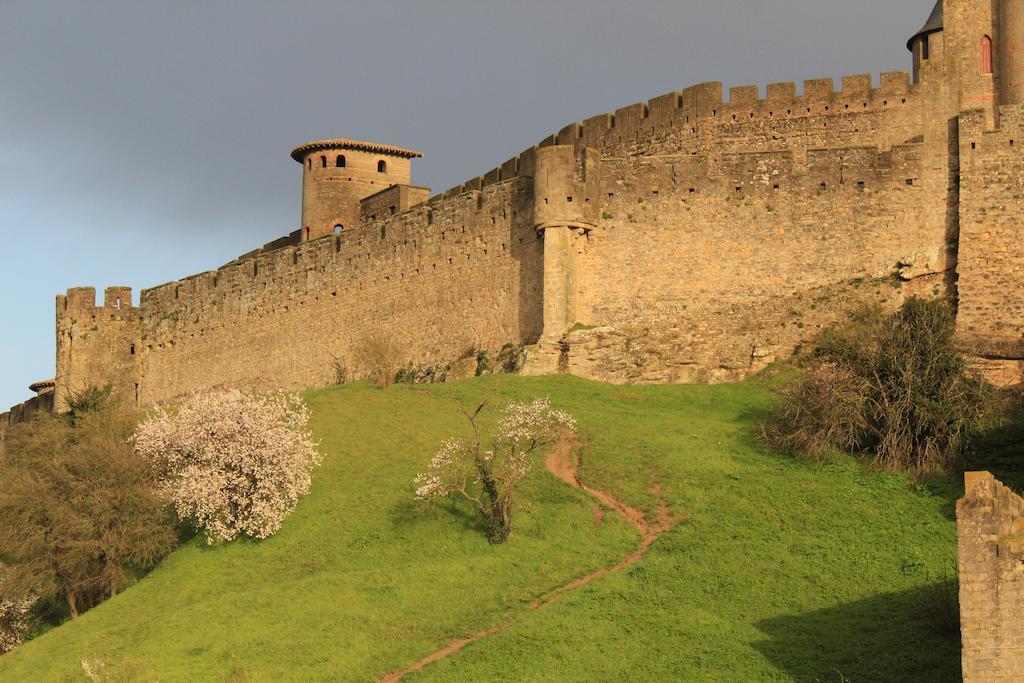 Le Patio Cathare Apartman Carcassone Kültér fotó