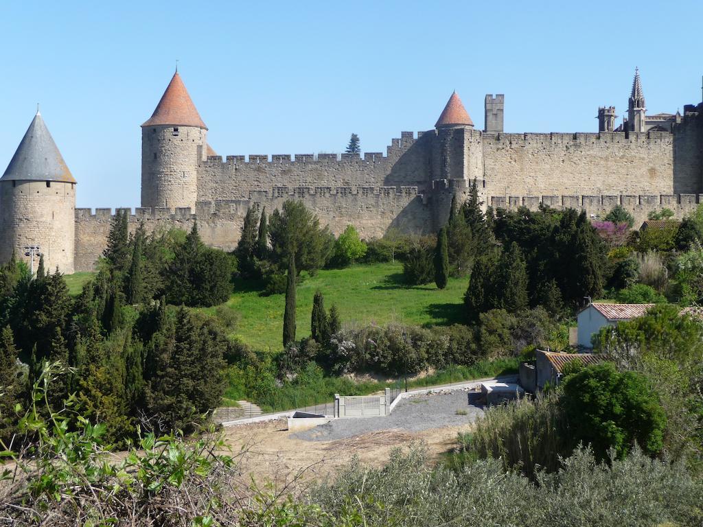 Le Patio Cathare Apartman Carcassone Kültér fotó